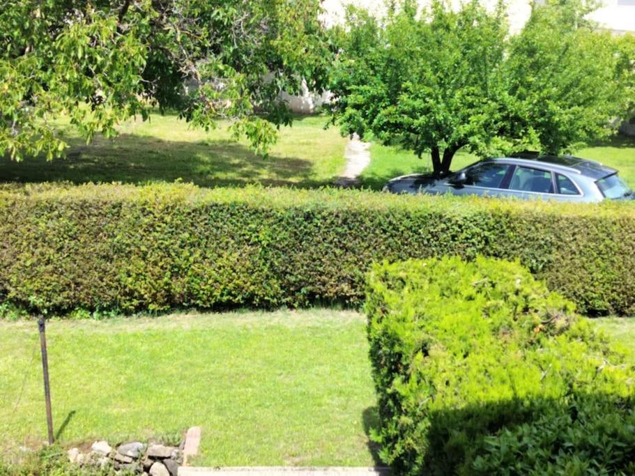 Finca Arep Alquiler Integro 6 Les Planes ラス・プラナス・ドストーネス エクステリア 写真